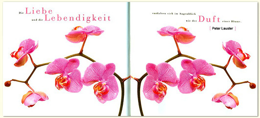 Peter Lauster Liebe Lebenskunst Und Selbstentfaltung