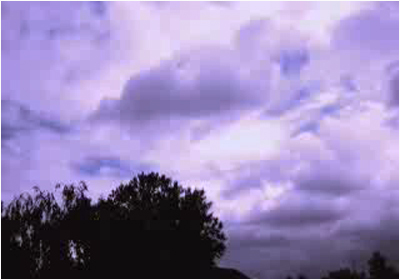Aug13_110229