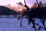 winter_0022