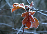 winter_0175